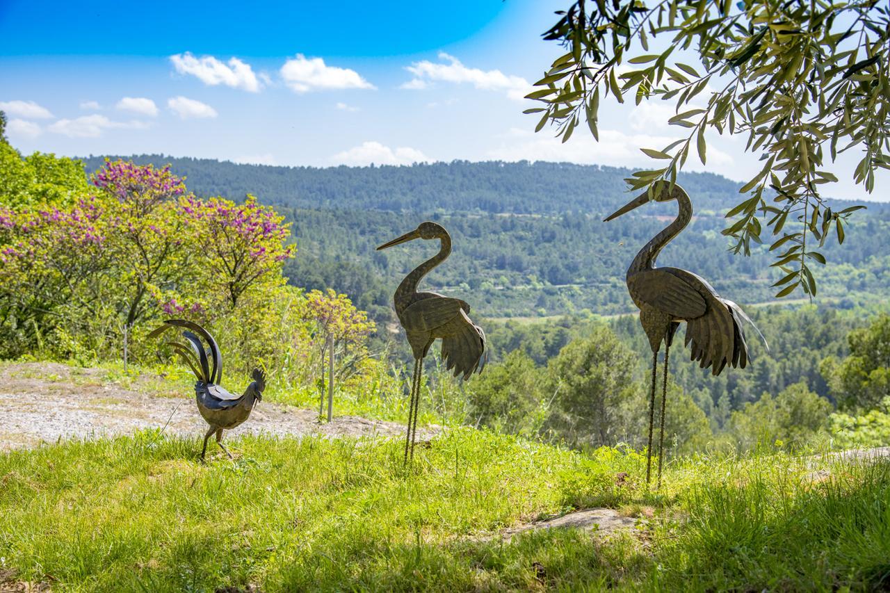 Ribaute B&B Chateau Ciceron المظهر الخارجي الصورة